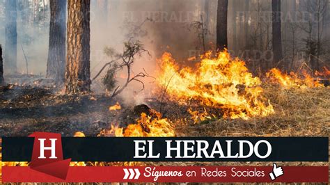 El Heraldo De Tuxpan Amlo Informa Que Hay 116 Incendios Forestales En