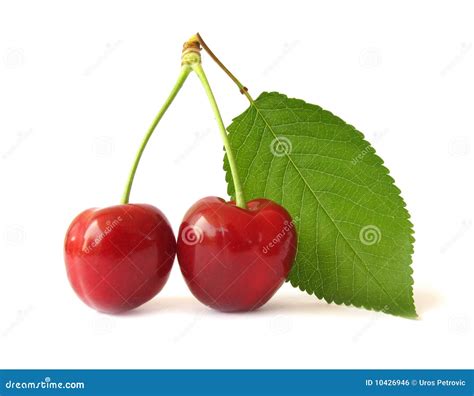 Two Cherries With Green Leaf Royalty Free Stock Image Image 10426946