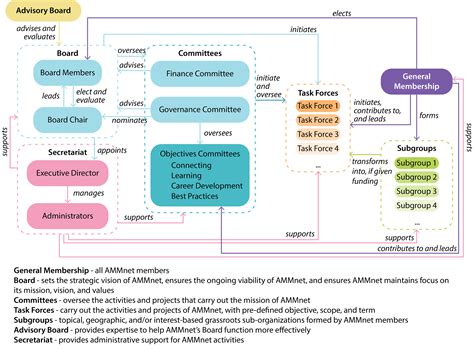 Terms of Reference – AMMnet