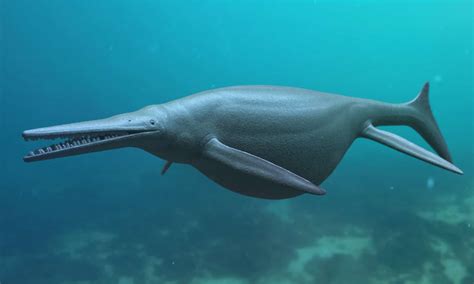 Ichthyosaurus - A-Z Animals