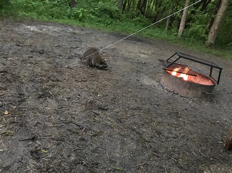 Whitewater Memorial State Park Campground | Liberty, Indiana