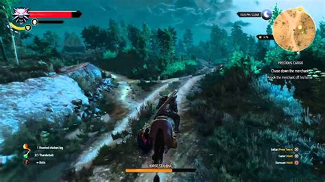 The Witcher 3 Wild Bug Hunt Youtube