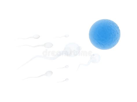 Sperm And Egg Cell On Scientific Background Medical Abstract