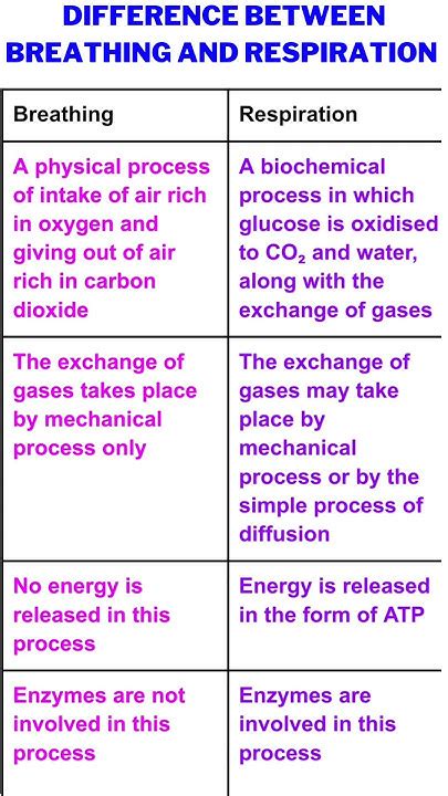 difference  breathing  respirationclass  sciencebiology