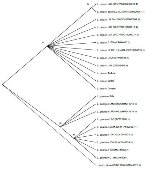 Microorganisms | Editor’s choice Articles