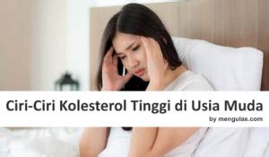 6 Ciri Ciri Kolesterol Tinggi Di Usia Muda Apa Saja Mengulas Media