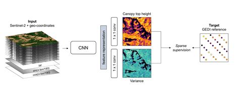 A High Resolution Canopy Height Model Of The Earth