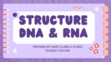 Structure DNAand RNA