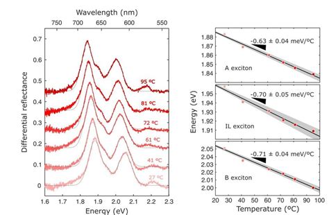 Figure S Left Differential Reflectance Spectra Of A Mos Bilayer