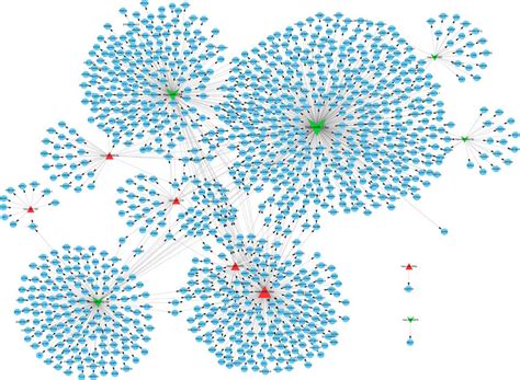 Mirna Target Gene Regulatory Network Notes Red Triangle Represents