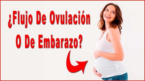 C Mo Diferenciar El Flujo De Ovulaci N Y De Embarazo Flujo Vaginal