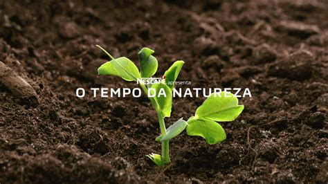 Tempo Da Natureza Exemplos - Nescafé apresenta: Tempo da Natureza - YouTube