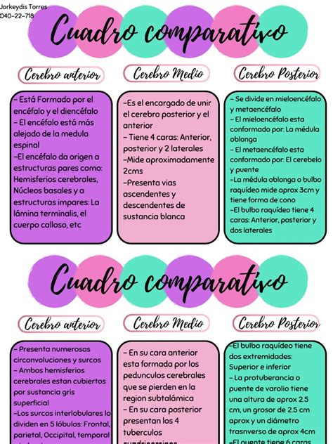 Cuadro Comparativo Cerebro Pdf Cerebro Órgano Anatomía