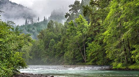 Middle Fork Willamette River Oregon Cascades V2 Misty River Consulting