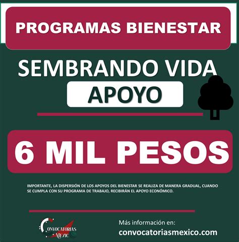 Pr Ximo Pago Programa Bienestar Sembrando Vida Fechas De Pago