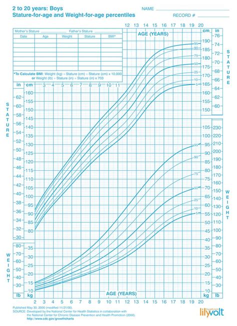 boys growth chart     years cdc  lilyvolt boys growth