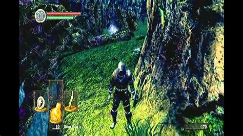 Dark Souls How To Find Dragon Crest Shield Grass Crest Shield