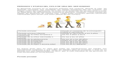 Periodos Y Etapas Del Ciclo De Vida Del Ser Humano [docx Document]