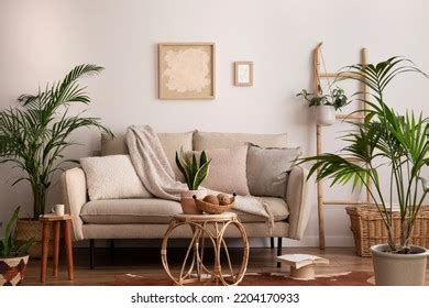 Boho Cozy Interior Living Room Design Stock Photo 2204170933 | Shutterstock