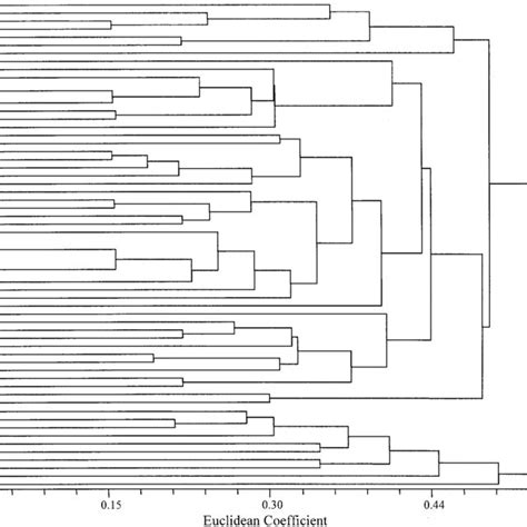 Upgma Dendrogram Based On The Euclidean Distance Between The 60 Sampled