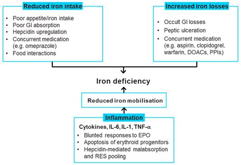 Causes of iron deficiency in heart failure... | Download Scientific Diagram