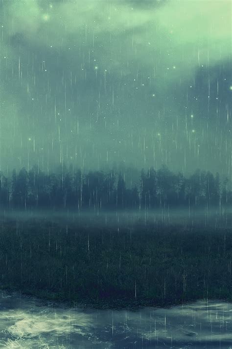 Rainy Forest Wallpaper - WallpaperSafari