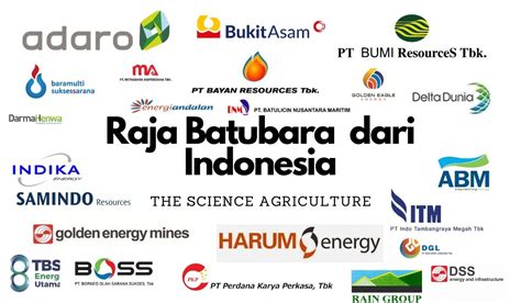 25 Perusahaan Batubara Terbesar Di Indonesia The Agriculture News