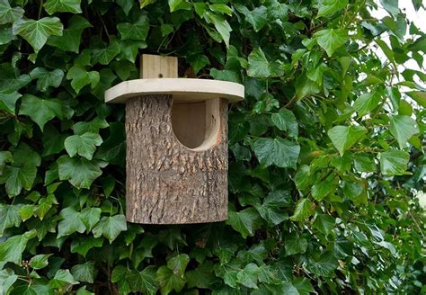 Best Nesting Box For Robins Garden Bird Feeder