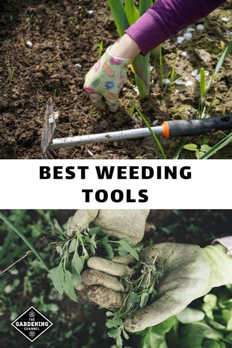 6 Best Weeding Tools for the Yard and Garden - Gardening Channel