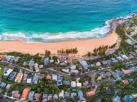 AQF level 5 arborists in the Northern Beaches of Sydney | Arbor Express