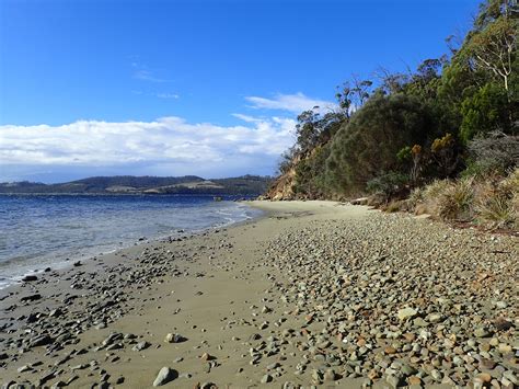 Coningham Reserve Hiking South East Tasmania