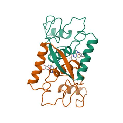 Rcsb Pdb Cmc Three Dimensional Crystal Structures Of E Coli Met