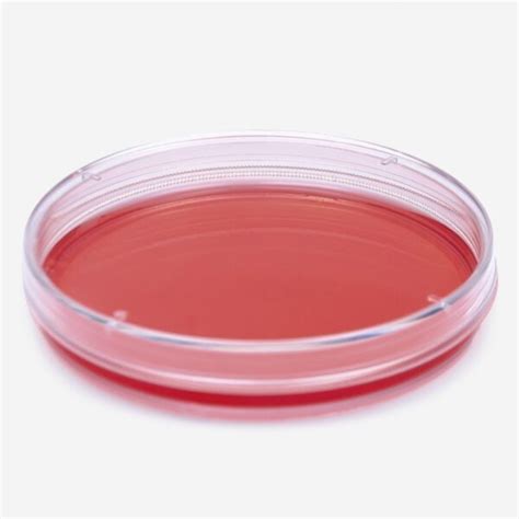 Petri Dishes For Cell Culture Ster Le Mudolab Sweden