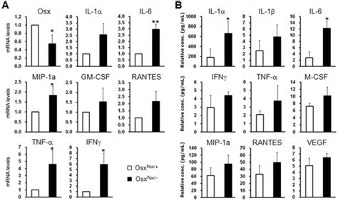 A The Mrna Expressions Of The Pro Inflammatory Cytokines Il 6 Tnf α Download Scientific