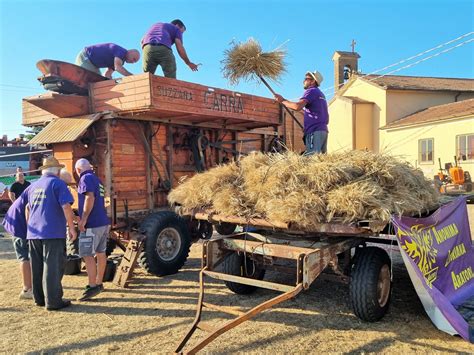 LATINA AL VIA LA SETTIMA EDIZIONE DELLA FESTA DELLA MIETITURA A