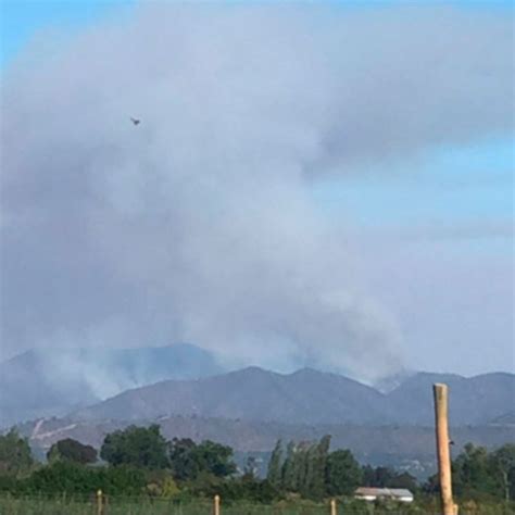 Incendio forestal de María Pinto ha consumido 860 hectáreas Pese a que