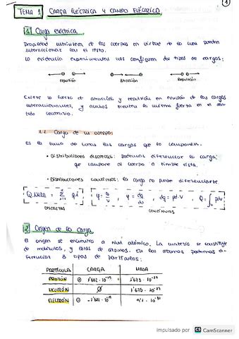 T Carga Y Campo Electrico Pdf