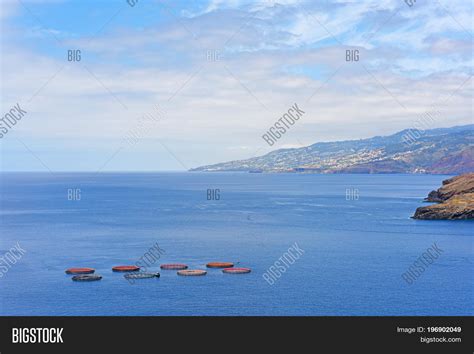 Fish Farming Atlantic Image & Photo (Free Trial) | Bigstock