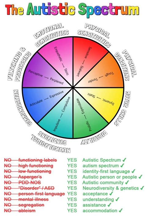 Autism Spectrum Diagram 74e