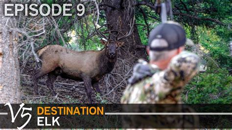 Bulls Within Bow Range Episode Destination Elk V Youtube