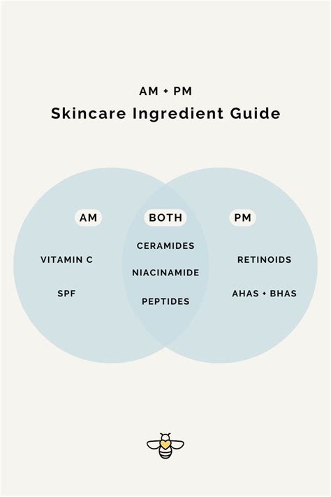 Am Pm Skincare Ingredient Guide Skincare Routine Tips In 2024