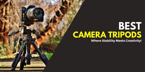 My List Of Best Camera Tripods In 2024 Camerasguy