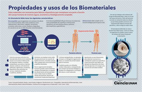 Funciones Biol Gicas