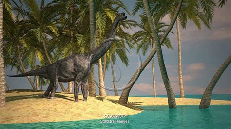 Large Brachiosaurus Grazing At The Waters Edge Stocktrek Images