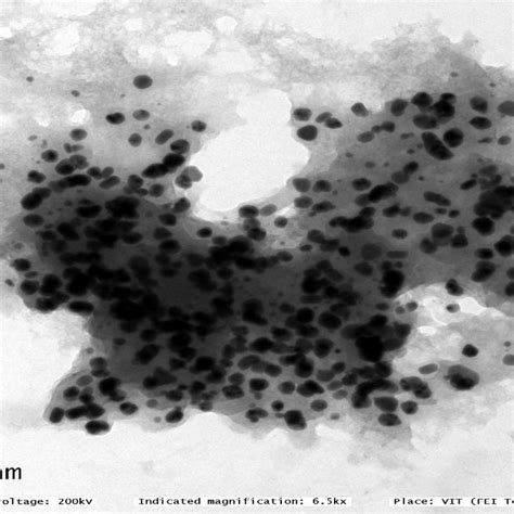 Transmission electron microscope results. | Download Scientific Diagram