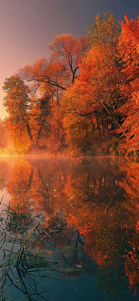 🔥 [40+] Autumn 3840x2160 Wallpapers | WallpaperSafari