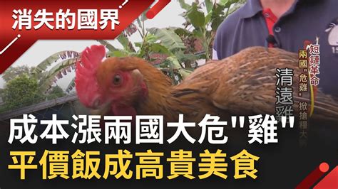 雞不可失 馬來西亞供不應求 下令禁活雞出口 國民美食海南雞飯爆漲民眾吃不消｜記者 謝家璇 何世得│【消失的國界】20221029