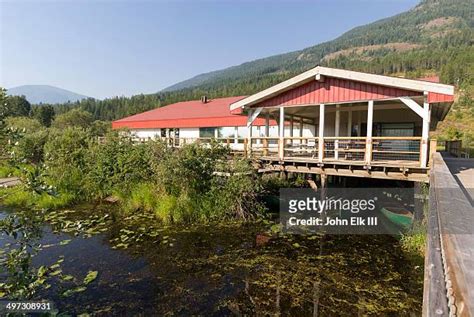 Creston Valley Wildlife Management Area Photos and Premium High Res ...