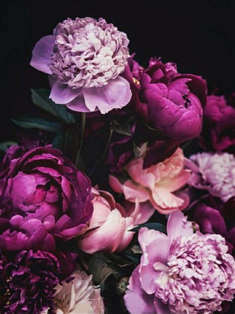 Pin By Heatherlte On Floral Blooms Floral Photography Floral