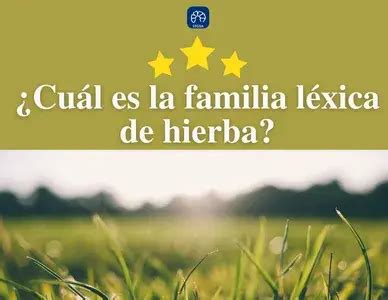 Cuál es la familia léxica de la palabra hierba Español